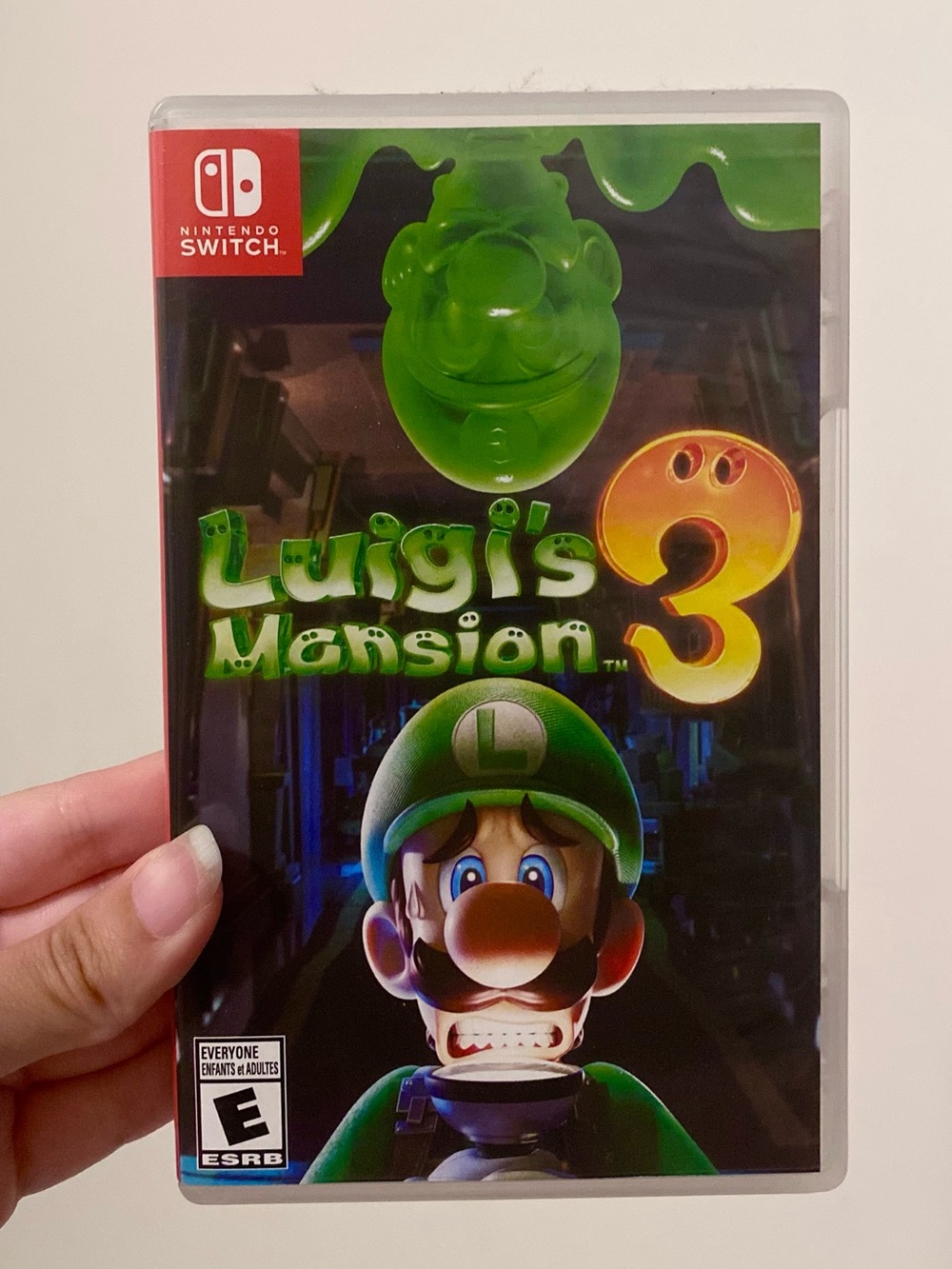 Nintendo Switch 1 Luigi's Mansion 3 Game